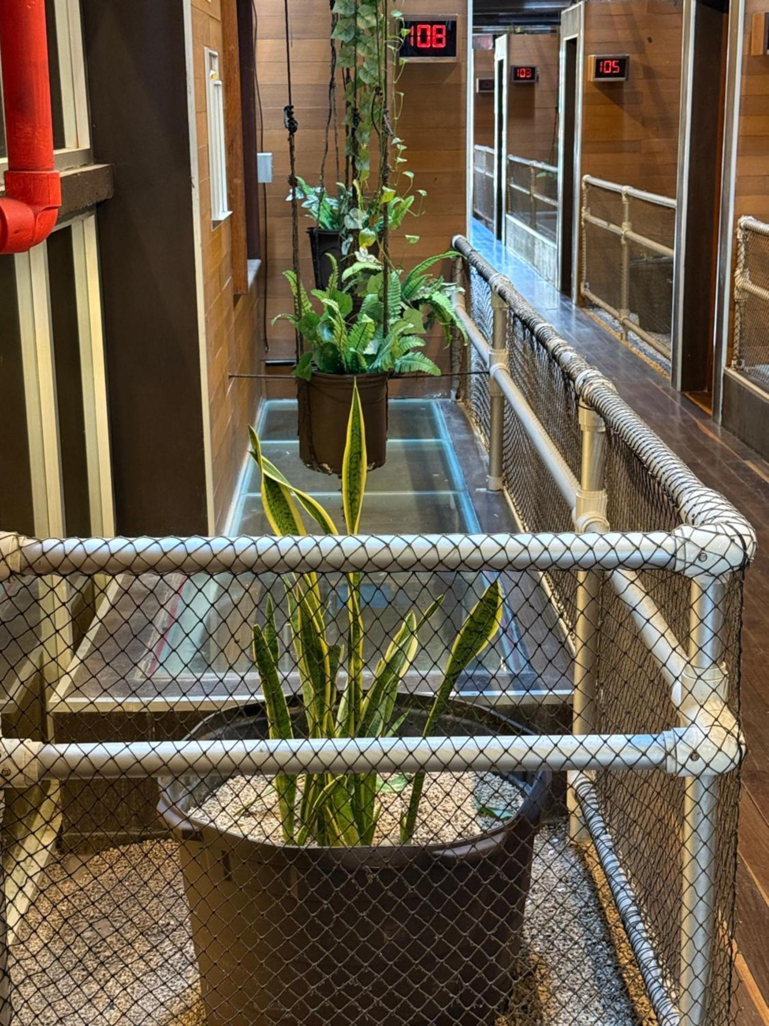 La Reina Roja Boutique Hotel 4*