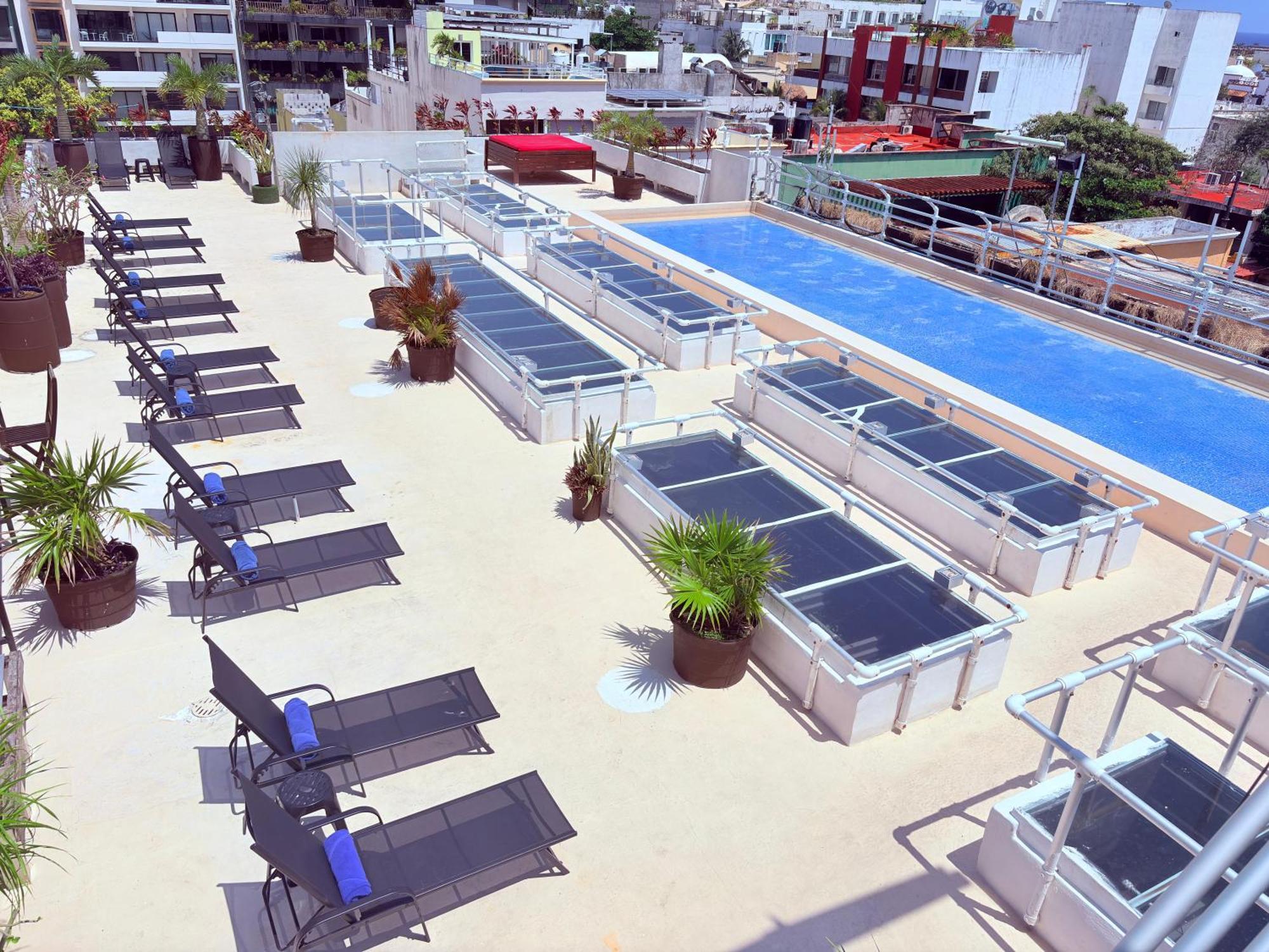 Hotel La Reina Roja Boutique