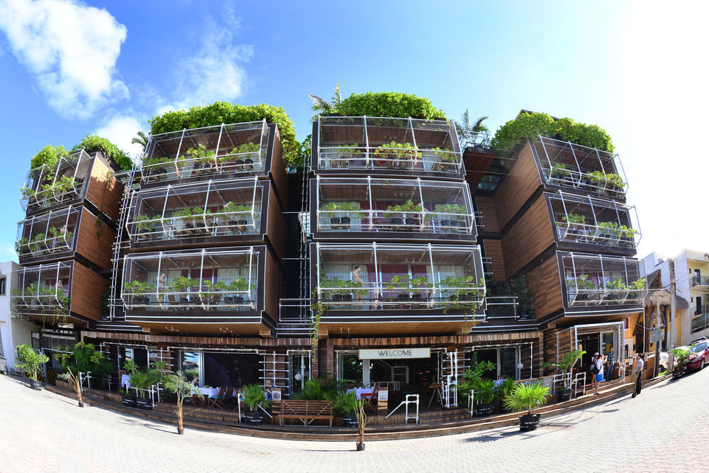 Kavia 5th Avenida (adults Only) 4* Playa del Carmen
